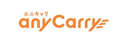 anyCarry